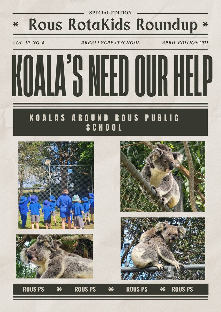 Front page of the Rous RotaKids Roundup student newspaper, headlined Koalas Need Our Help